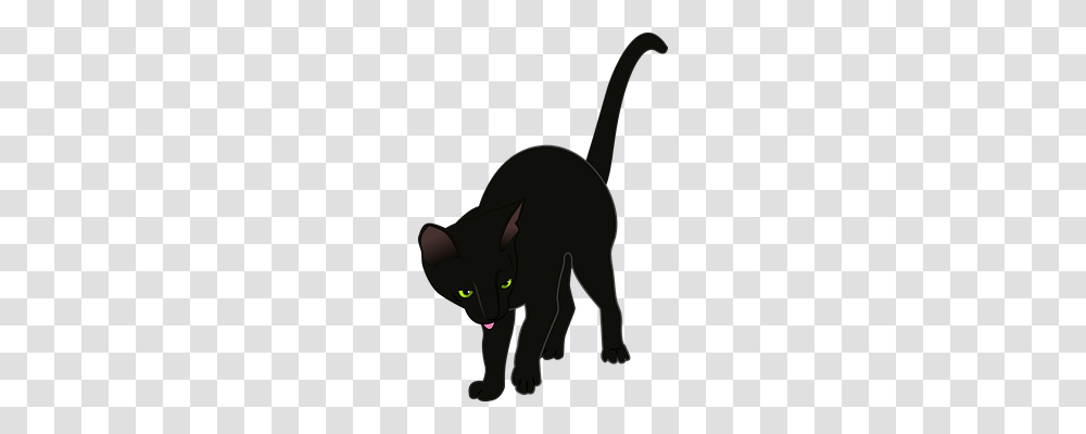 Cat Animals, Black Cat, Pet, Mammal Transparent Png