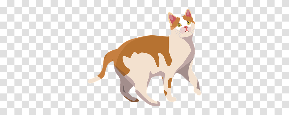 Cat Animals, Pet, Manx, Mammal Transparent Png