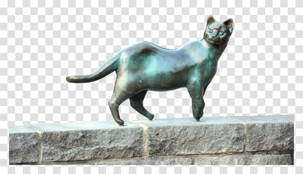 Cat 960, Animals, Mammal, Pet, Manx Transparent Png