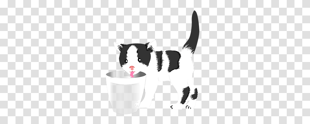 Cat Food, Milk, Beverage, Drink Transparent Png