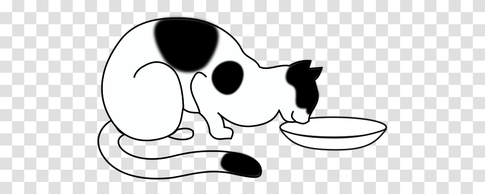 Cat Animals, Cow, Cattle, Mammal Transparent Png