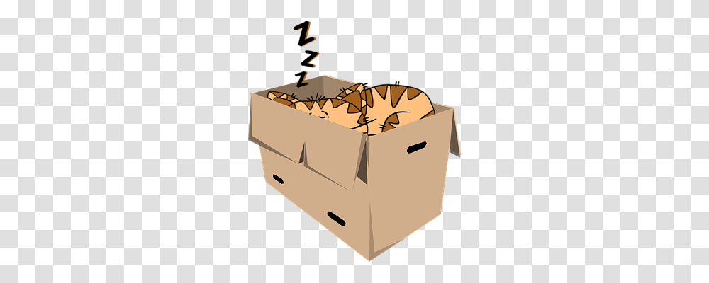 Cat Animals, Box, Cardboard, Carton Transparent Png