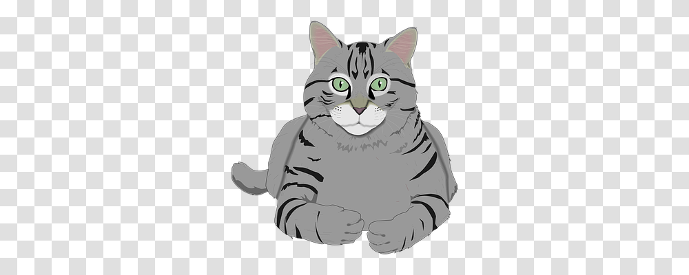 Cat Animals, Pet, Mammal, Manx Transparent Png