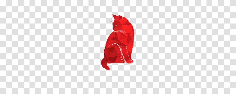 Cat Christmas Stocking, Gift Transparent Png