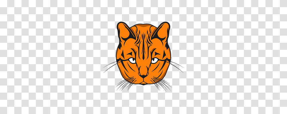 Cat Mammal, Animal, Pet, Tiger Transparent Png