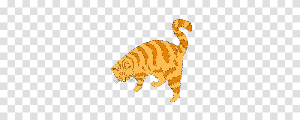 Cat Animals, Pet, Mammal, Manx Transparent Png