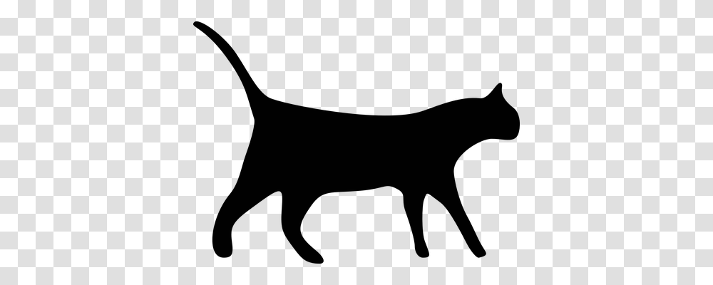 Cat Animals, Leisure Activities, Gray, Musician Transparent Png