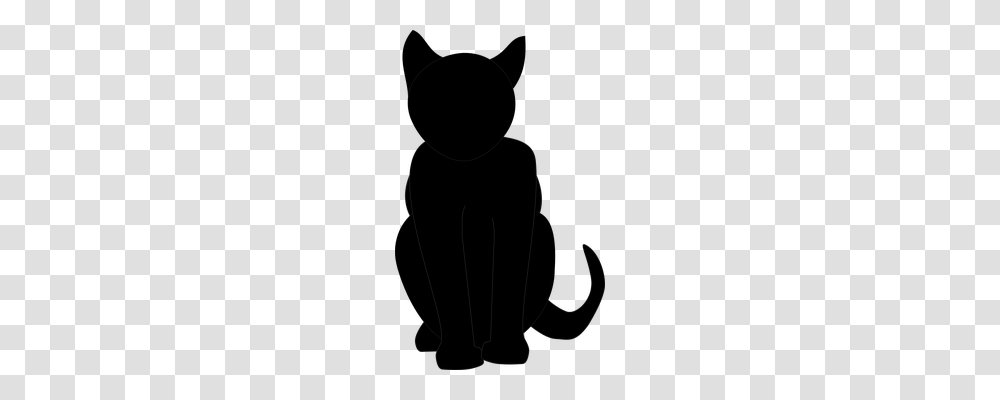 Cat Animals, Silhouette, Photography, Mammal Transparent Png