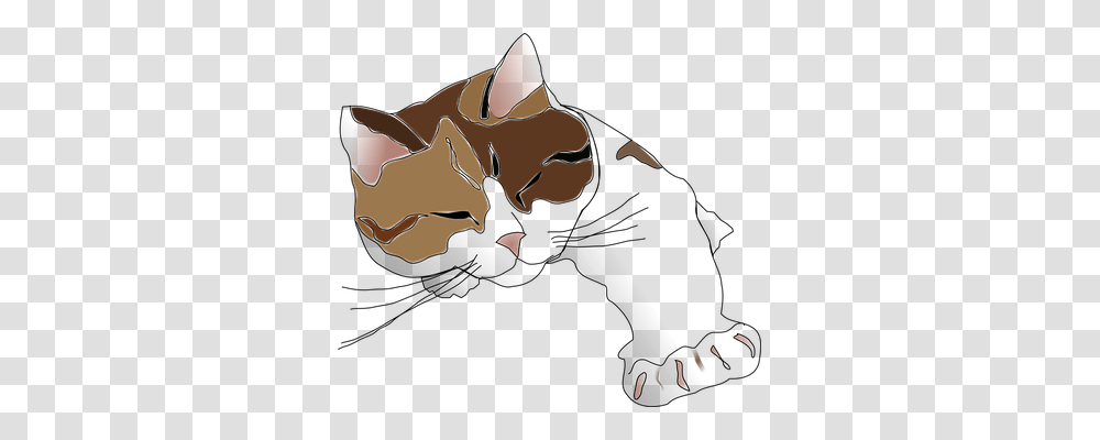 Cat Animals, Person, Human, Pet Transparent Png