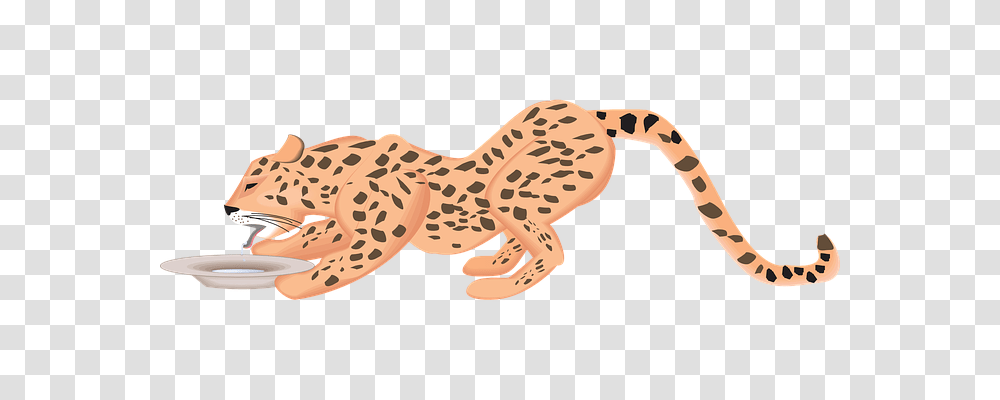 Cat Food, Wildlife, Animal, Cheetah Transparent Png