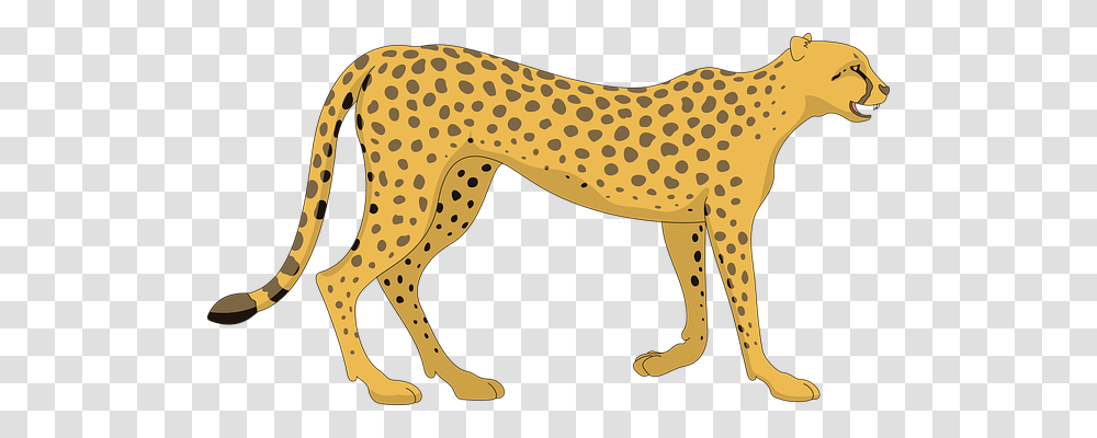 Cat Animals, Cheetah, Wildlife, Mammal Transparent Png