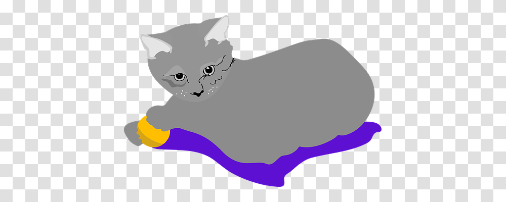 Cat Animals, Mammal, Pet, Manx Transparent Png