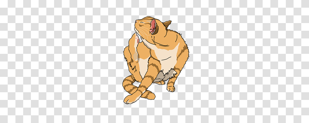 Cat Animals, Mammal, Wildlife, Beaver Transparent Png