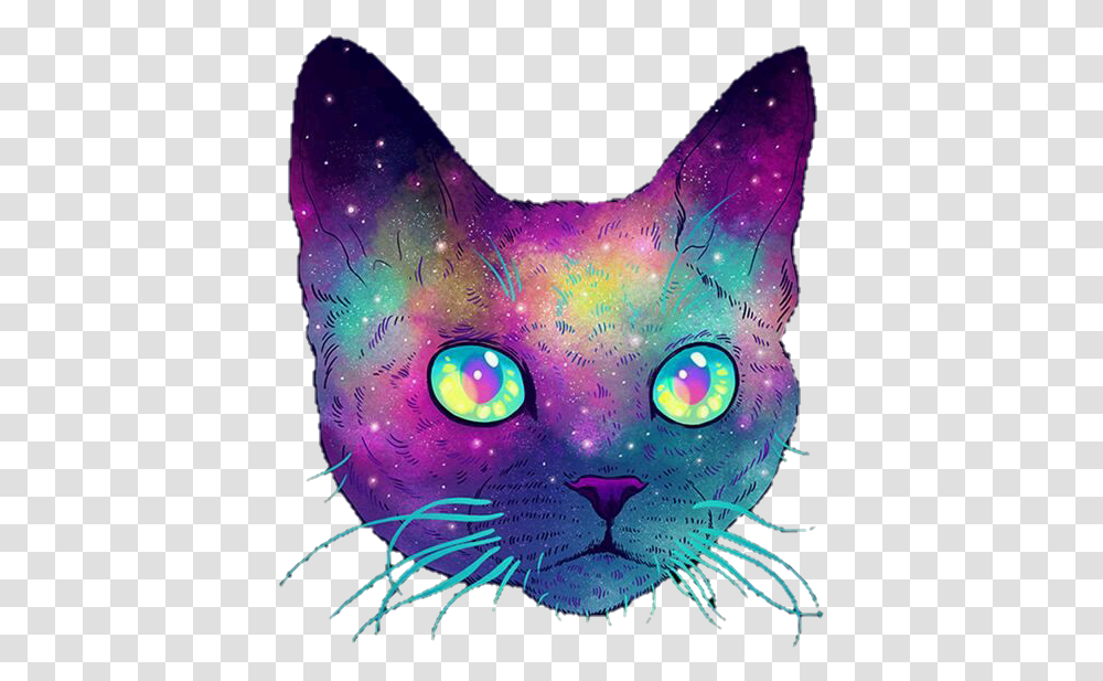 Cat And Galaxy Image Cat Galaxy, Modern Art, Pattern Transparent Png