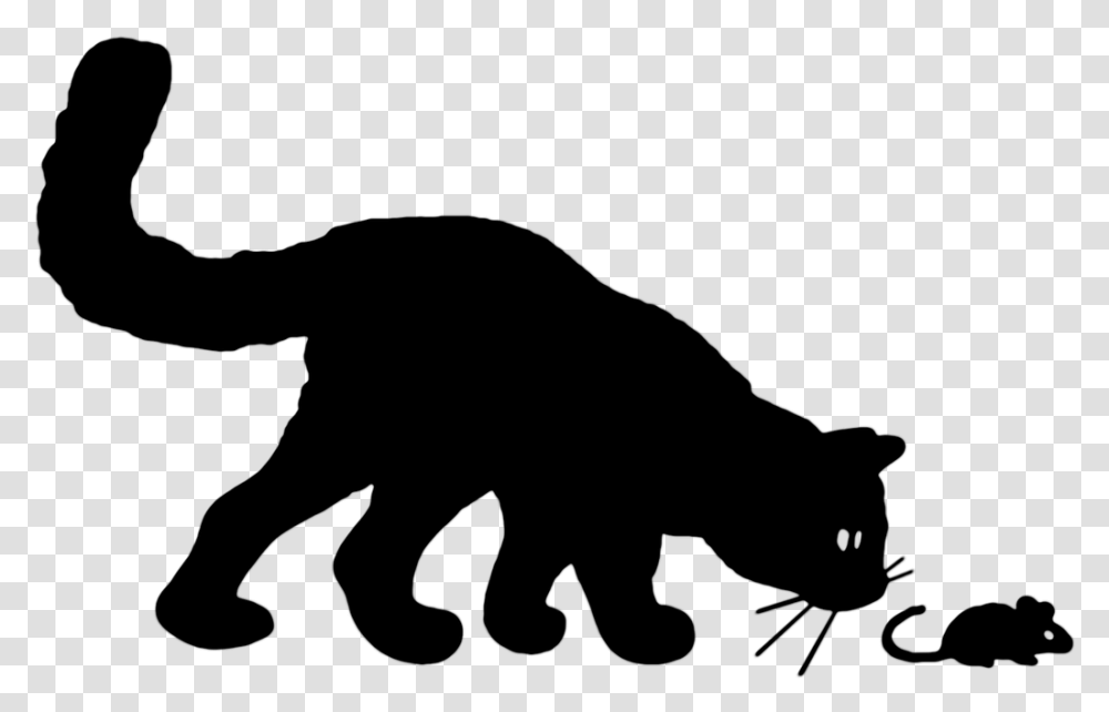 Cat And Mouse, Gray, World Of Warcraft Transparent Png