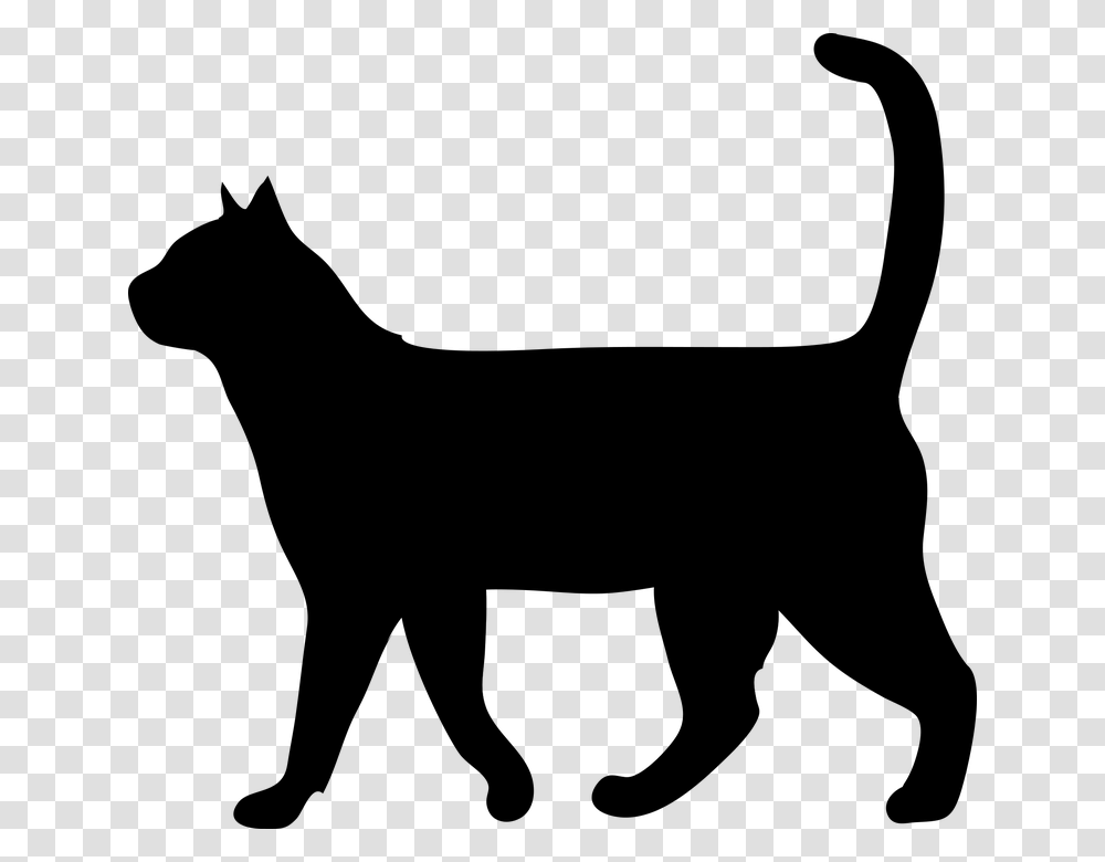 Cat Animal The Silhouette Outside Domestic Cat Black Cat Silhouette Walking, Gray, World Of Warcraft, Halo Transparent Png
