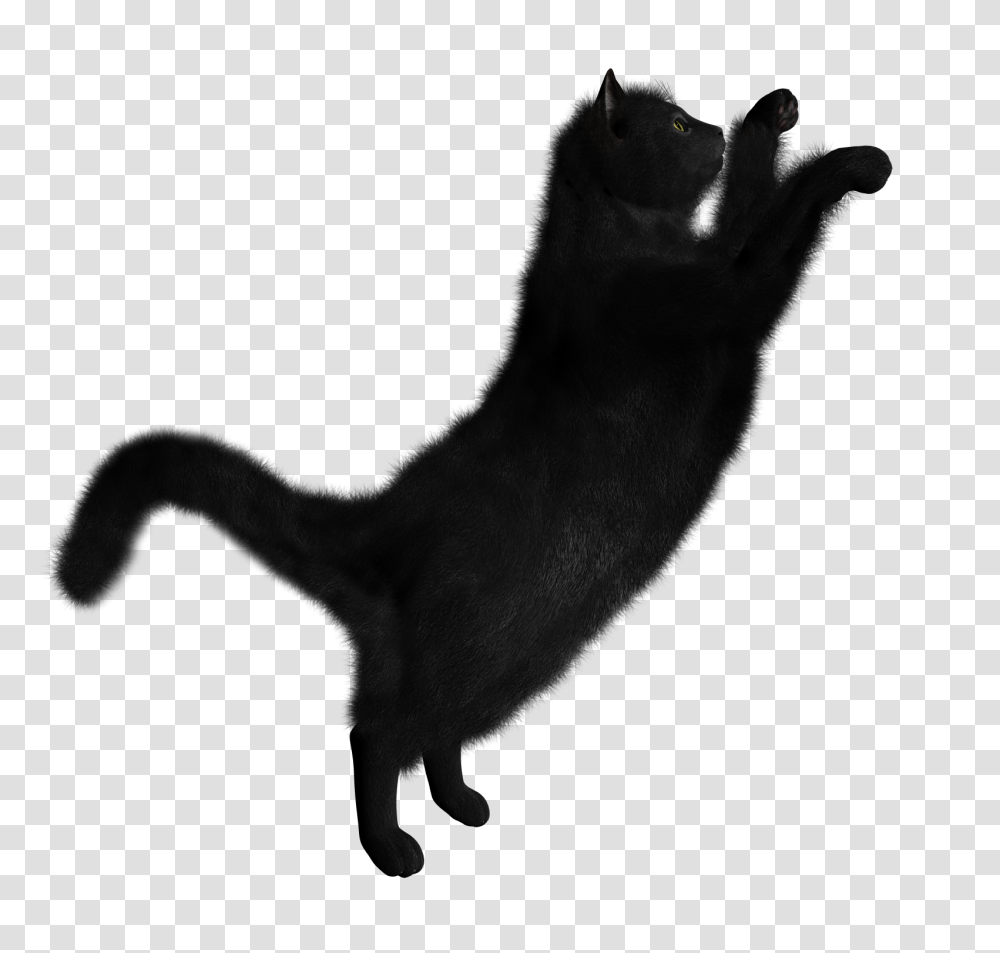 Cat, Animals, Plot, Silhouette, Diagram Transparent Png