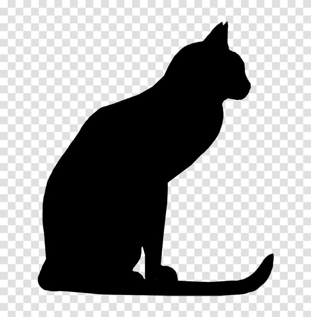 Cat, Animals, Silhouette, Pet, Mammal Transparent Png