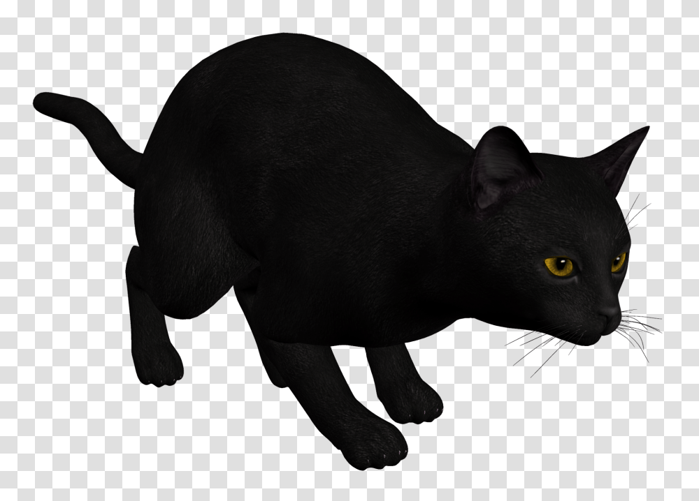 Cat Black Clipart, Mammal, Animal, Wildlife, Panther Transparent Png