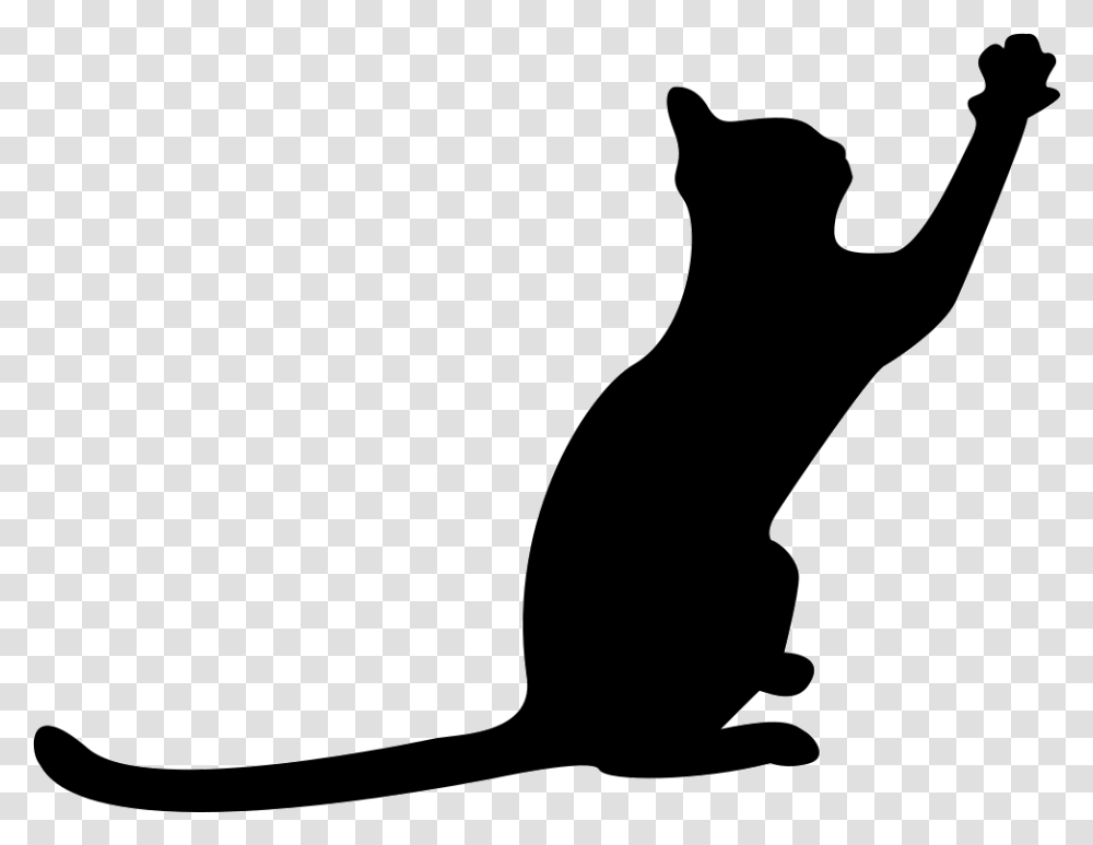Cat Black Silhouette With Extended Tail And One Paw To Front, Pet, Mammal, Animal, Kneeling Transparent Png