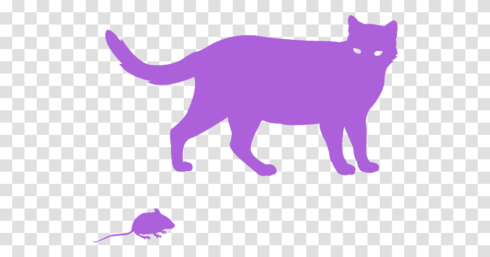 Cat Blue Silhouette, Mammal, Animal, Wildlife, Buffalo Transparent Png