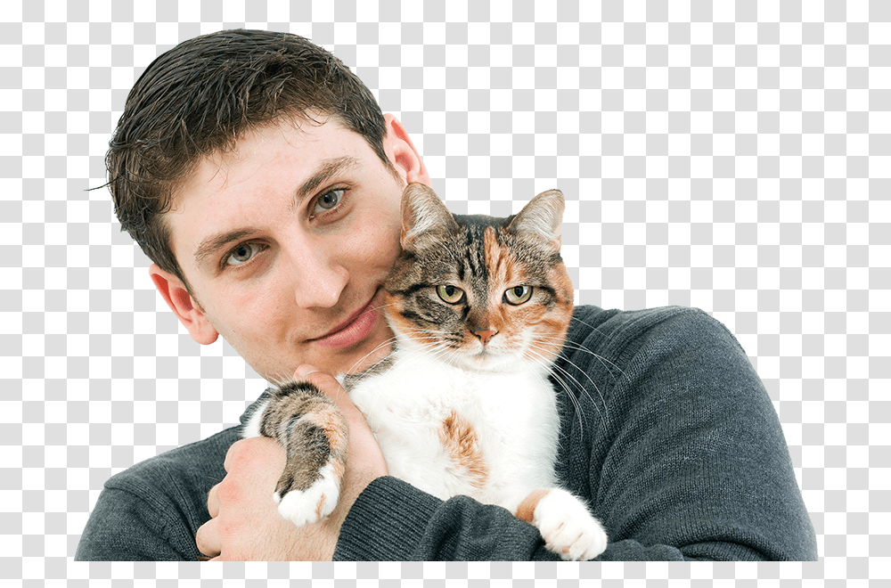Cat Boarding In Lone Tree Co Domestic Cat, Person, Human, Pet, Mammal Transparent Png