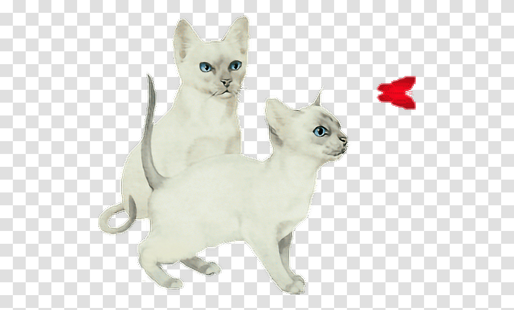 Cat Butterfly Anime Cute Ftestickers Love Asian, Pet, Mammal, Animal, Angora Transparent Png