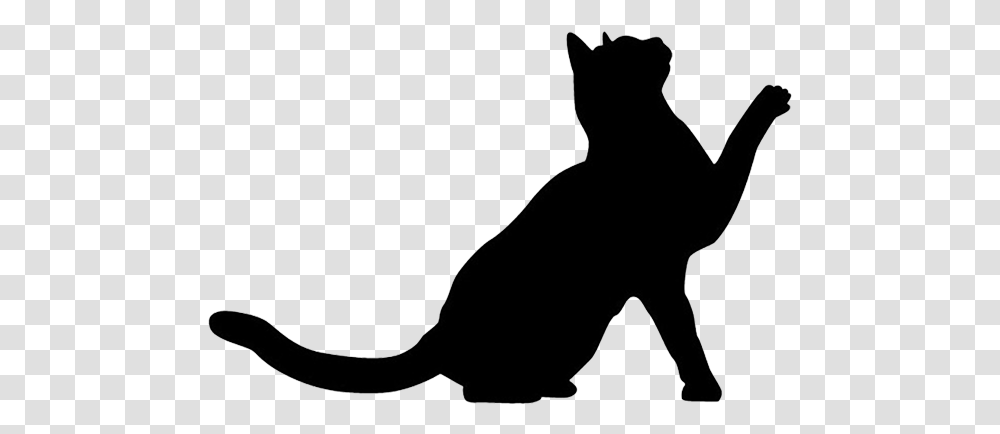 Cat Cat Silhouette Free, Pet, Animal, Mammal, Black Cat Transparent Png