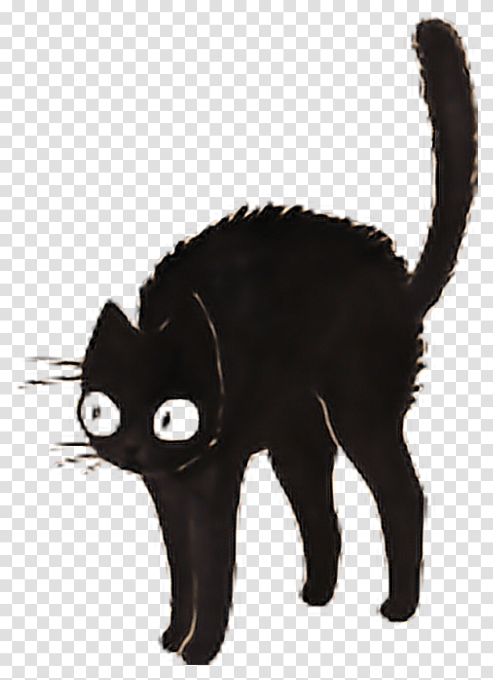 Cat Cats Black Blackcat Dark Tumblr Sticker Black Cat Sticker, Mammal, Animal, Horse, Wolf Transparent Png