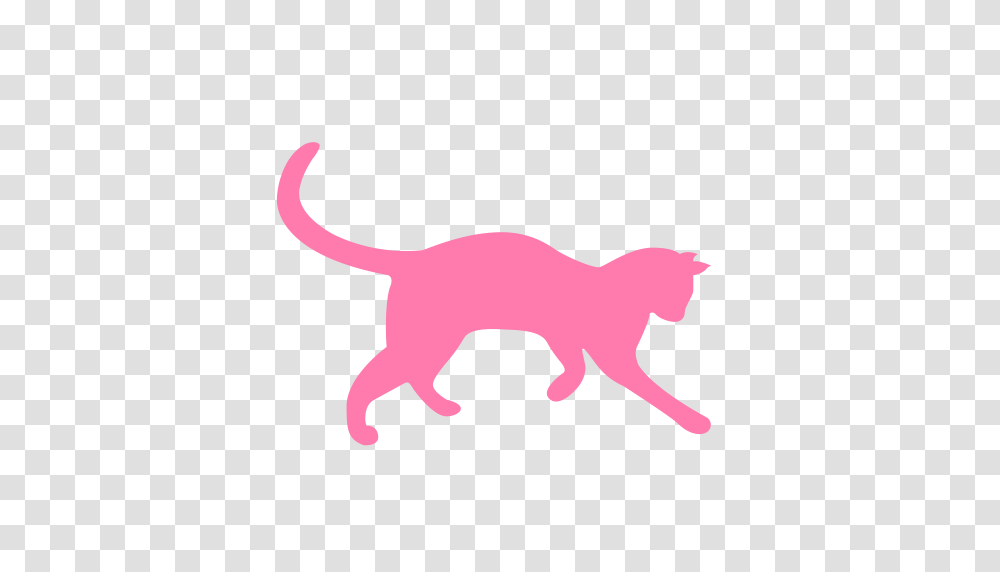 Cat Checked Cat Family Icon With And Vector Format For Free, Animal, Mammal, Wildlife, Cougar Transparent Png
