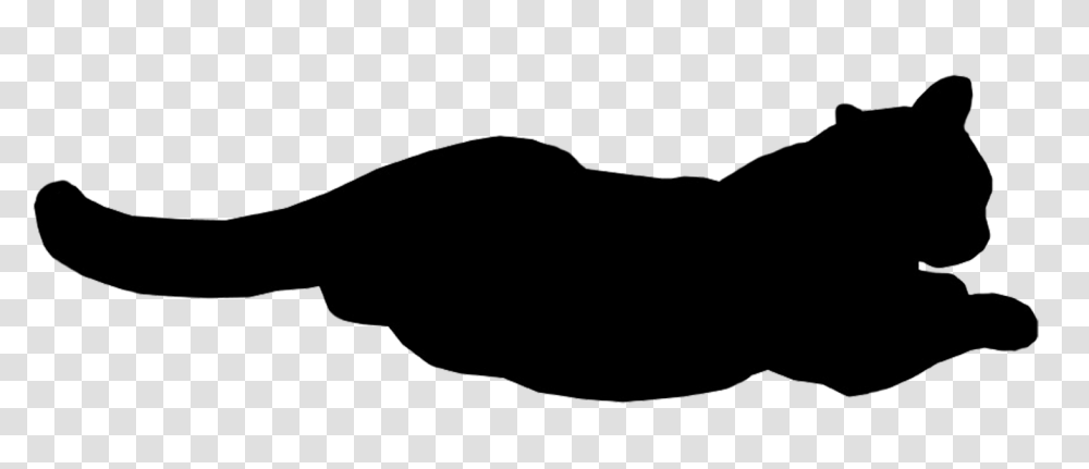 Cat Clip Art Cat Sketches Cat Drawings Graphics, Silhouette, Mustache, Animal Transparent Png