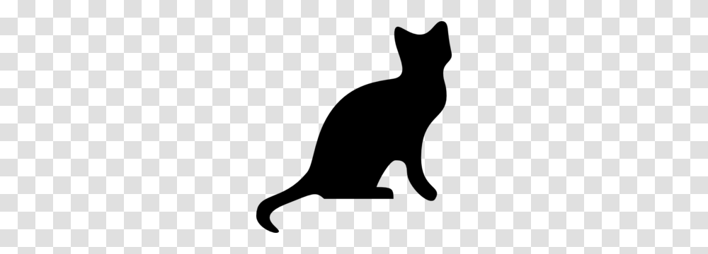 Cat Clip Art, Gray, World Of Warcraft Transparent Png