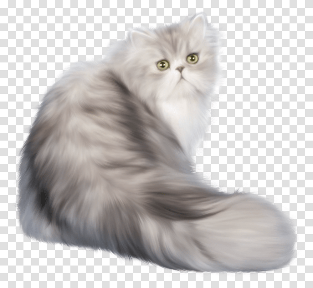 Cat Clip Art Persian Cat, Angora, Pet, Mammal, Animal Transparent Png