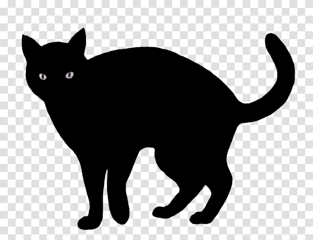 Cat Clip Art Silhouette Images, Outdoors, Gray, Astronomy Transparent Png