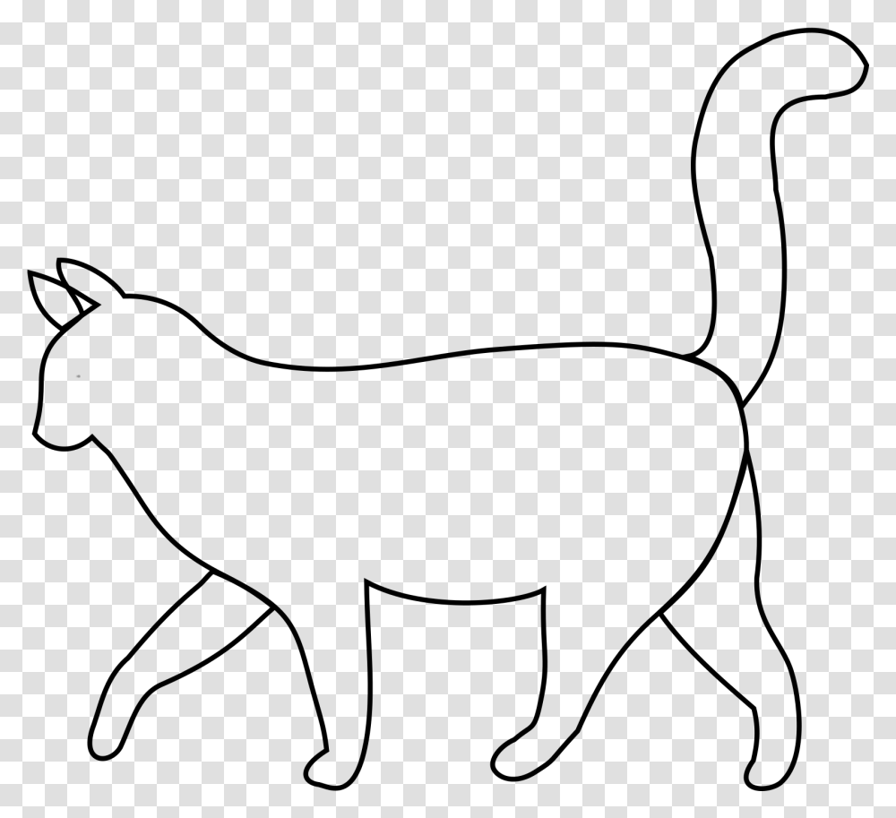 Cat Clip Art White, Gray, Outdoors, Nature, World Of Warcraft Transparent Png