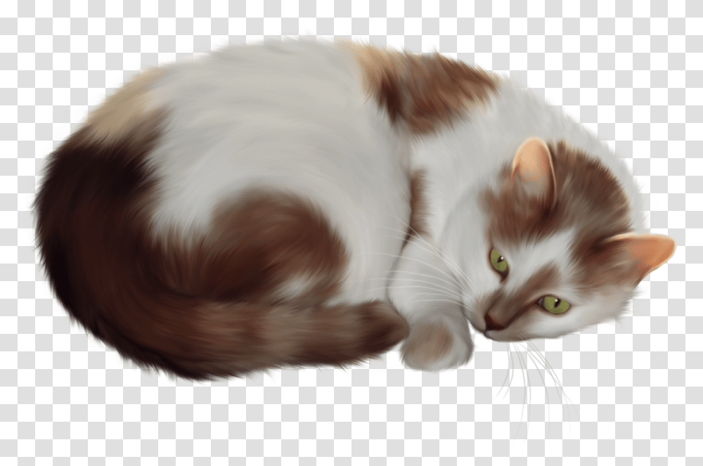 Cat Clipart Cat Clip Art, Manx, Pet, Mammal, Animal Transparent Png