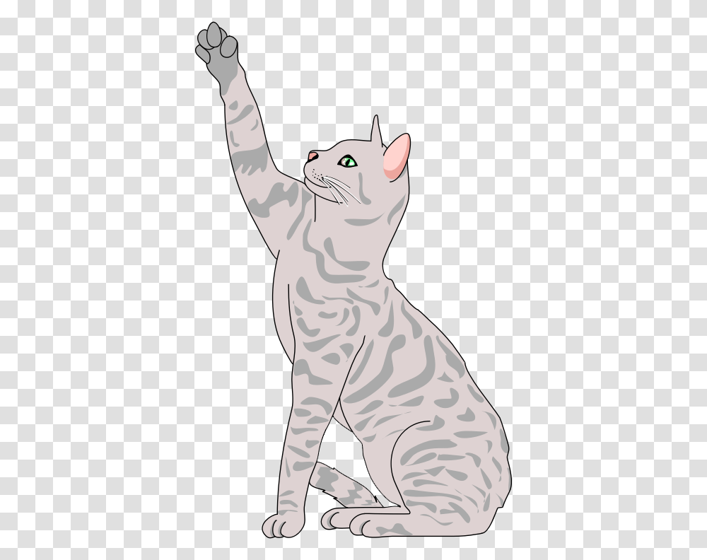 Cat Clipart Realistic Clip Art Cat Cat Clipart Free, Mammal, Animal, Standing, Pet Transparent Png