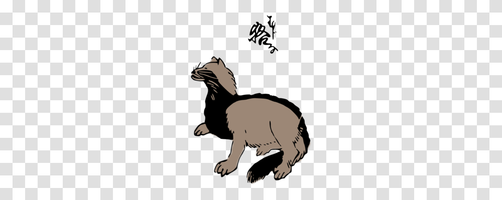 Cat Computer Icons Dog, Mammal, Animal, Wildlife, Person Transparent Png