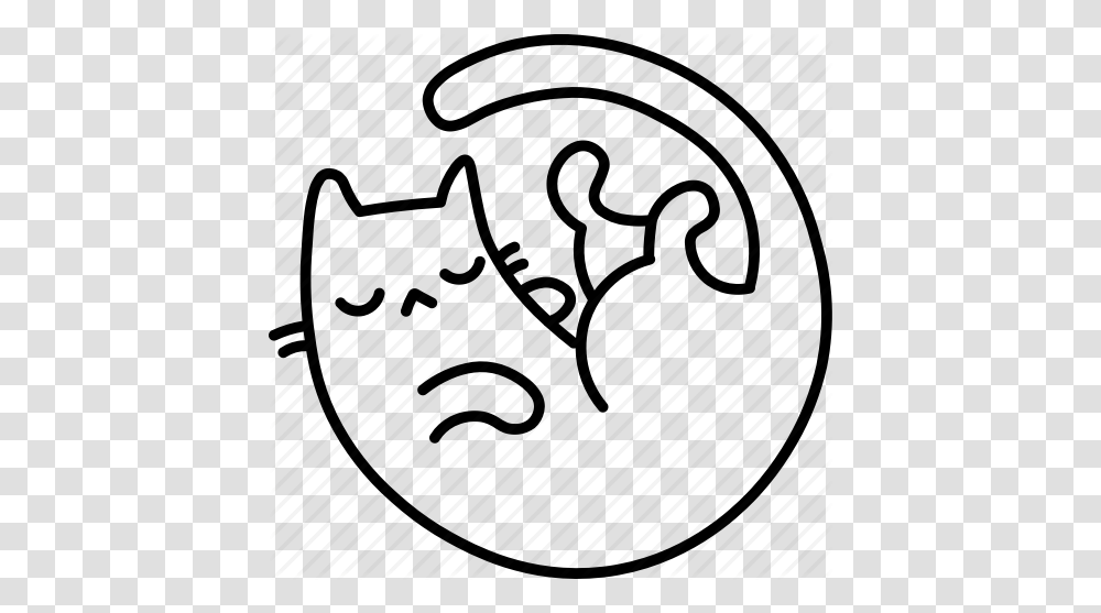 Cat Curl Feline Pet Sleep Icon, Number, Alphabet Transparent Png