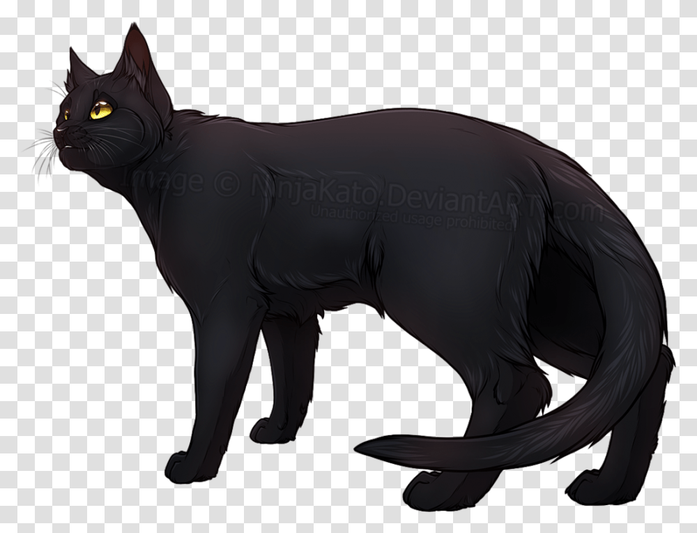 Cat Digital Black Cat, Animal, Mammal, Pet, Horse Transparent Png