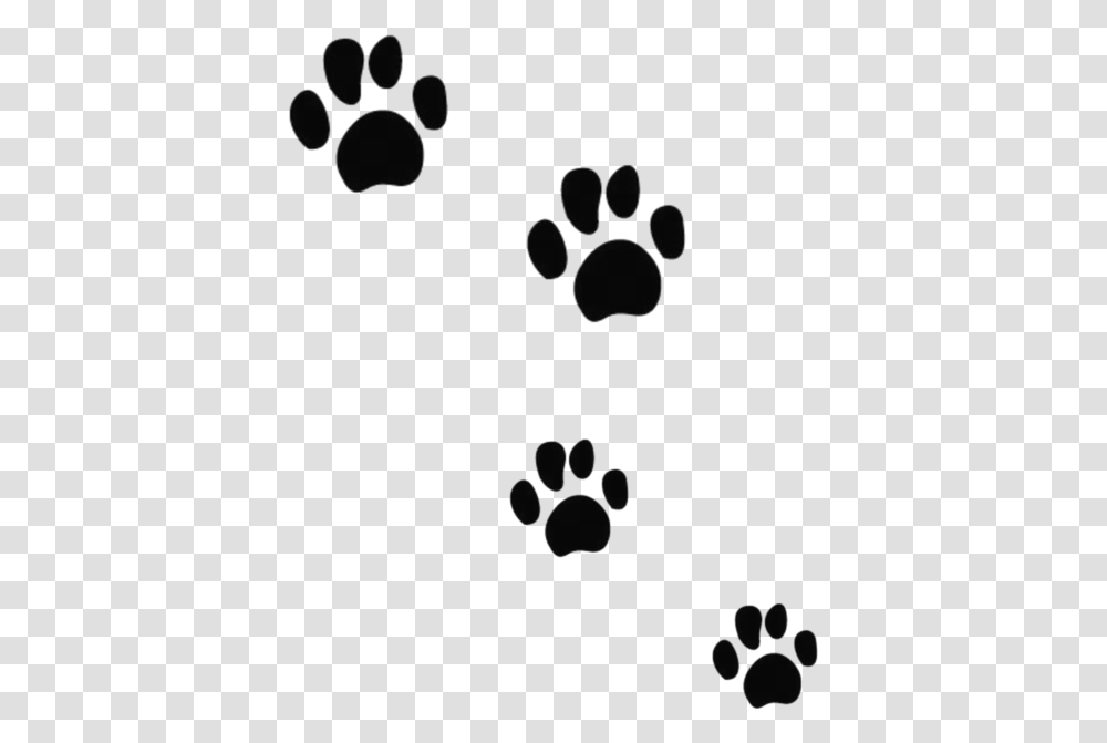 Cat Dog Tiger Bear Felidae Kitten Paw Prints, Gray, World Of Warcraft Transparent Png