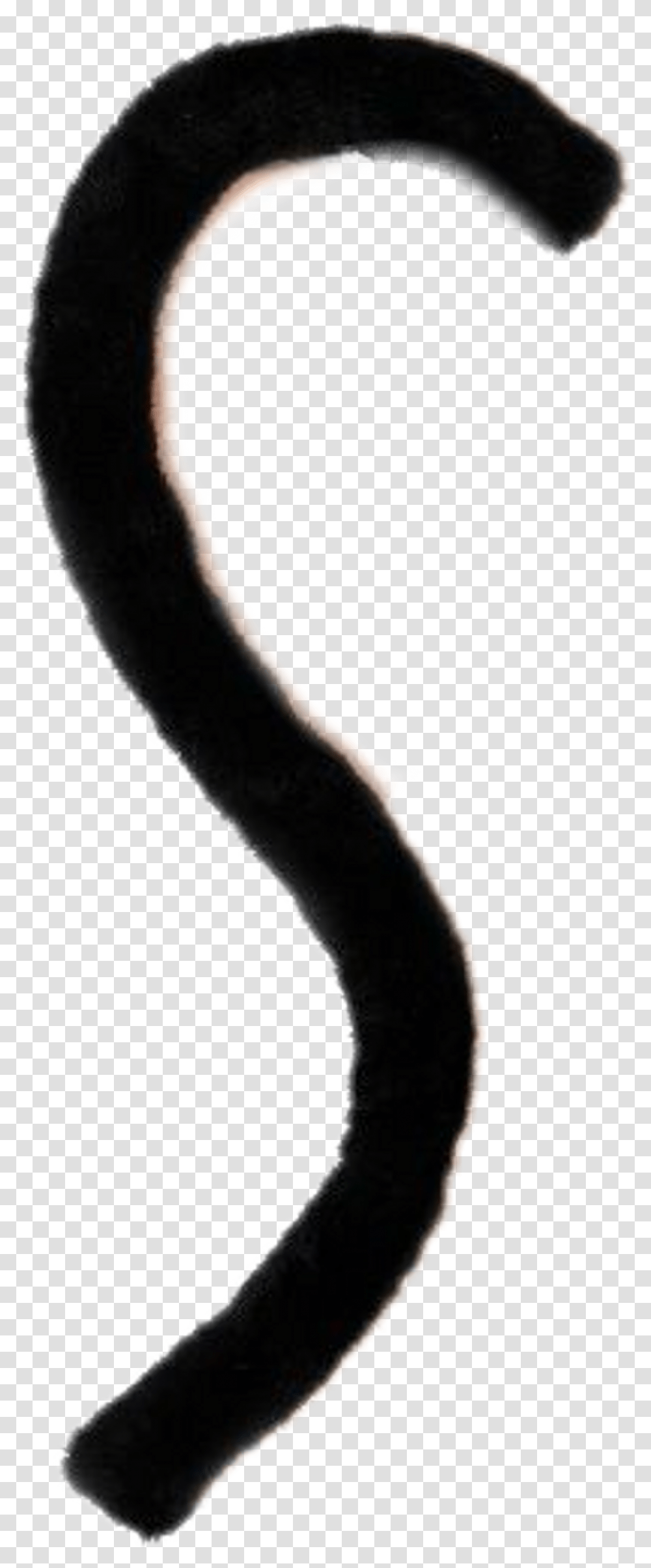 Cat Download Cat Tail, Arm, Person, Human, Hand Transparent Png