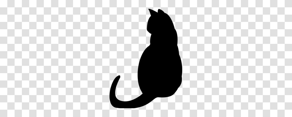 Cat Drawing Cartoon Tiger Kitten, Gray, World Of Warcraft Transparent Png