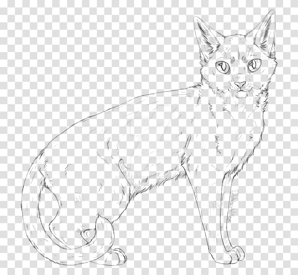Cat Drawing Realistic Cat Lineart, Number, Alphabet Transparent Png