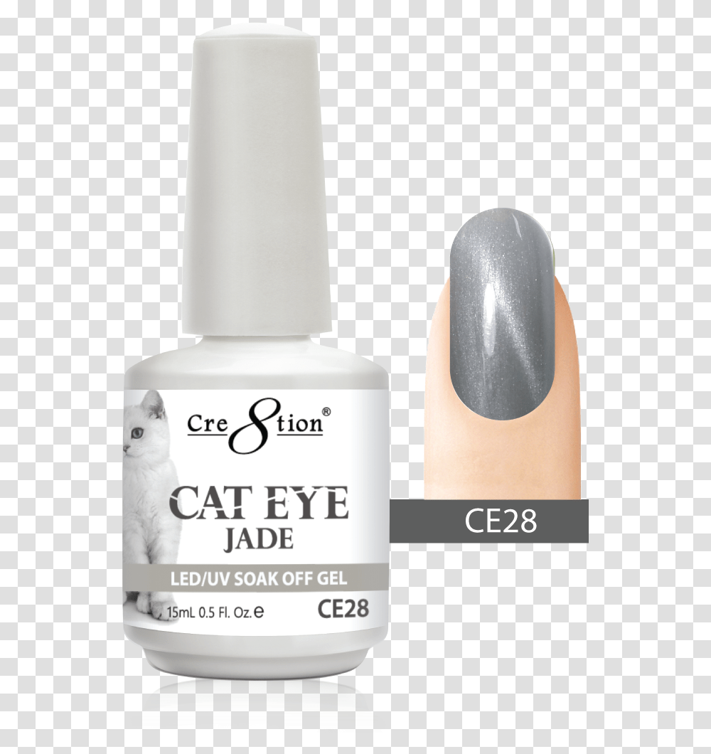 Cat Eye, Cosmetics, Pet, Mammal, Animal Transparent Png