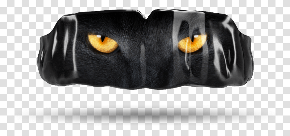 Cat Eyes Black Cat, Pet, Mammal, Animal, Dog Transparent Png