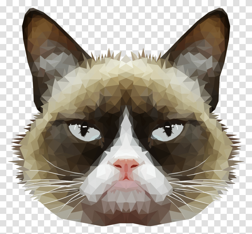 Cat Face With No Background, Mammal, Animal, Pet, Snout Transparent Png