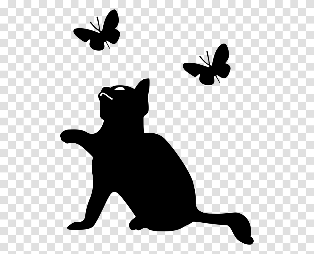 Cat Food Kitten Felidae Wall Decal, Outdoors, Nature, Bird, Animal Transparent Png