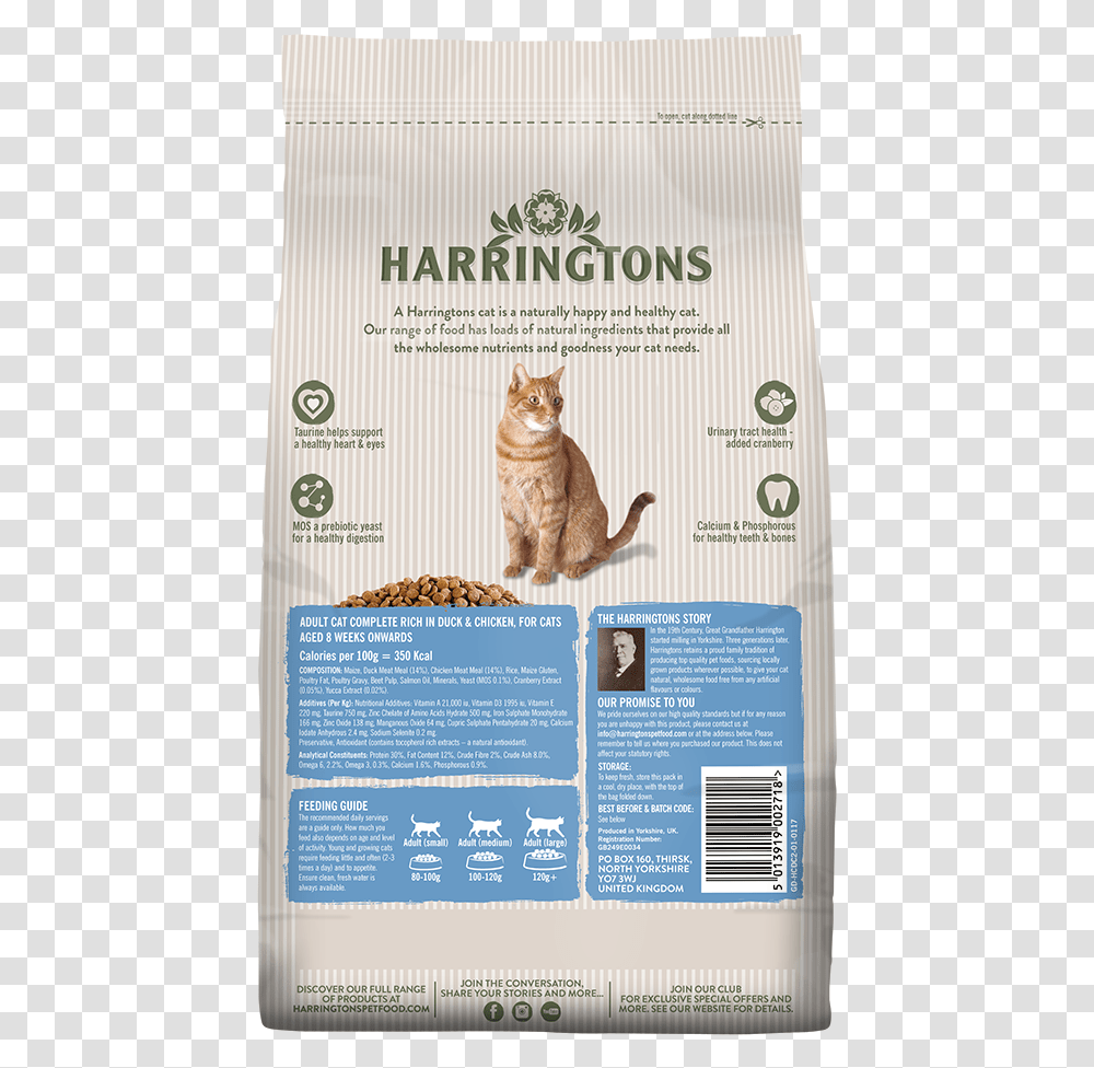 Cat Food Products, Advertisement, Poster, Flyer, Paper Transparent Png