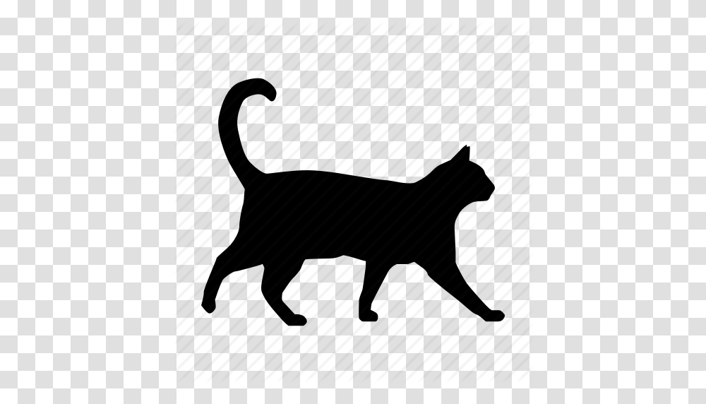 Cat Gato Icon, Piano, Silhouette, Animal, Mammal Transparent Png